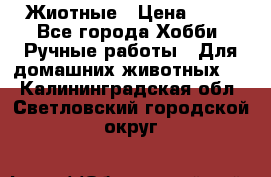 Жиотные › Цена ­ 50 - Все города Хобби. Ручные работы » Для домашних животных   . Калининградская обл.,Светловский городской округ 